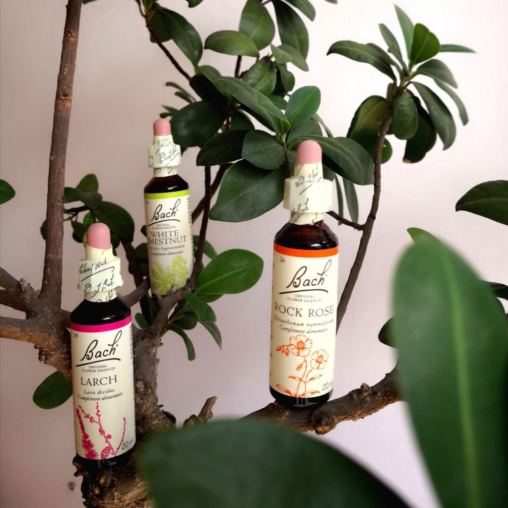 Fleurs de Bach Mathilde Conseillère agréée en Fleurs de Bach